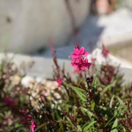 Elia & Meli Vakantiehuis *